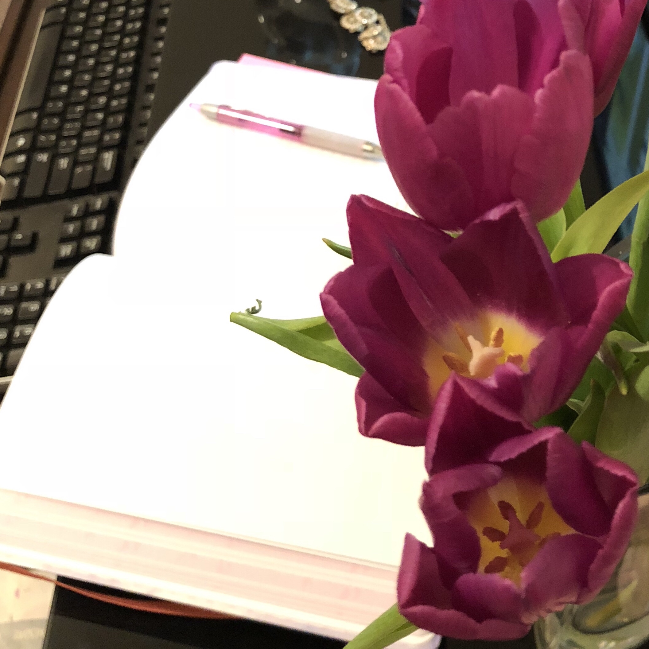 Full Steam Ahead 2018