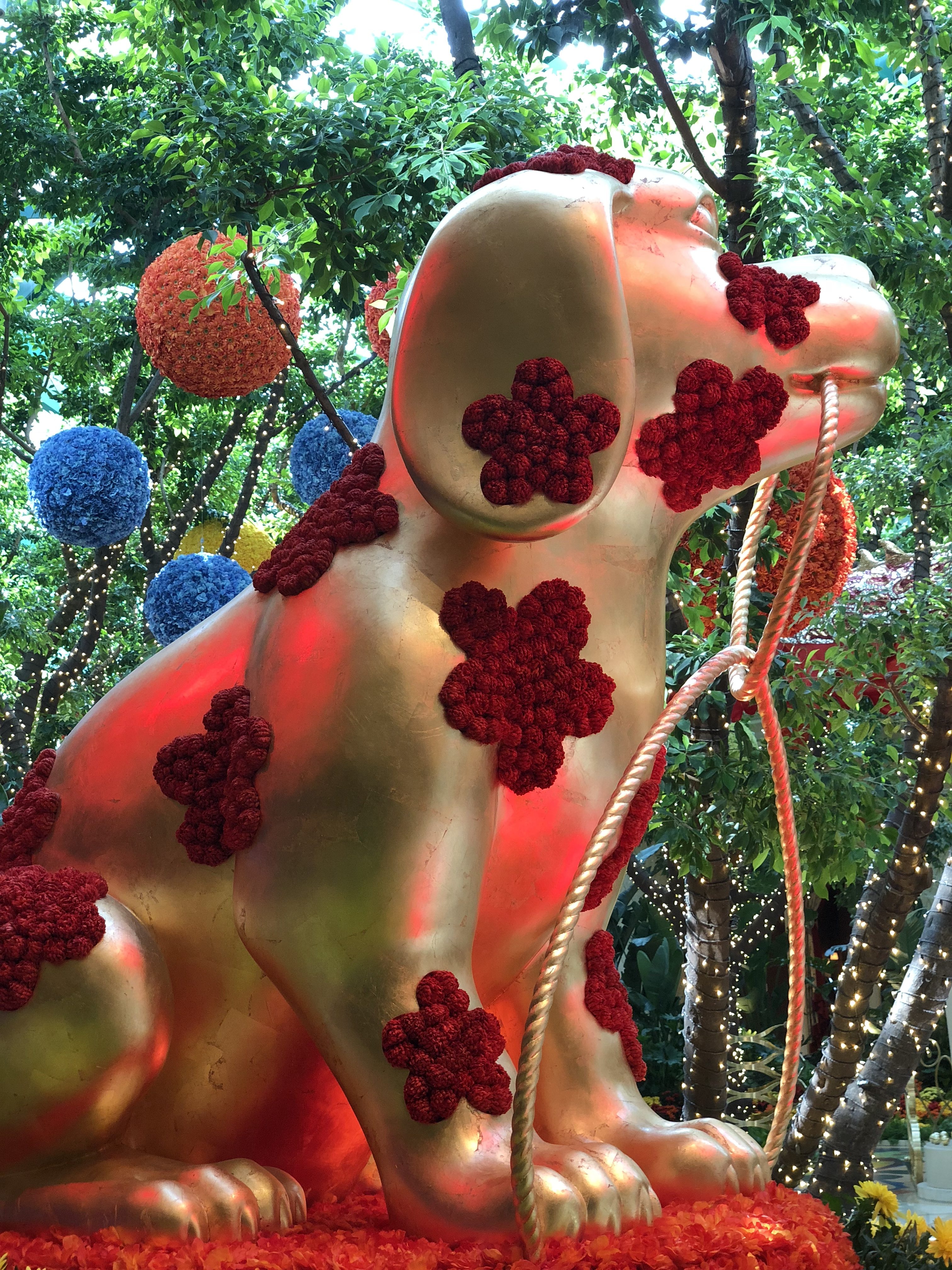 Under the Weather Friday – Day 2 in Vegas