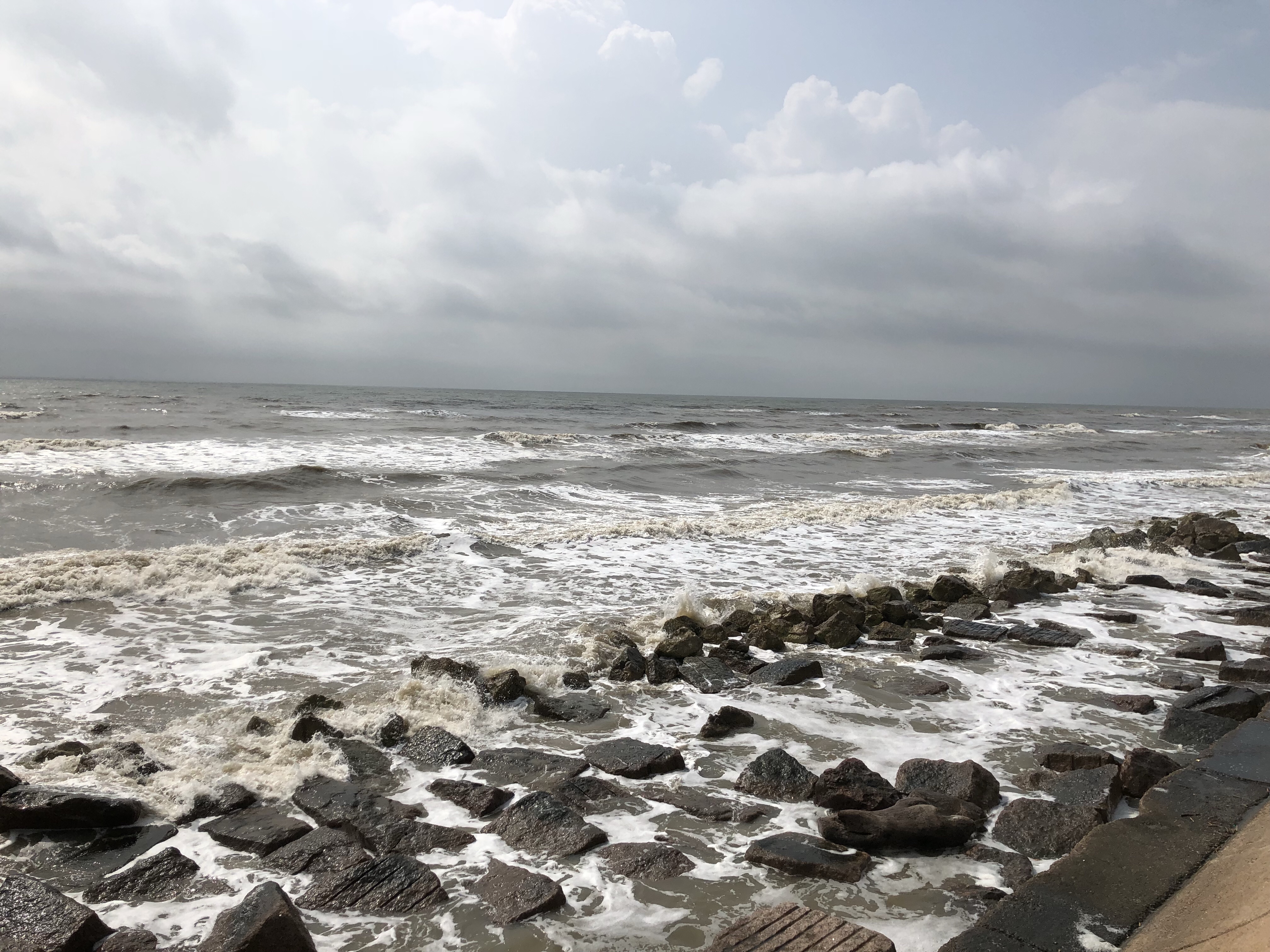 Exploring Island Life