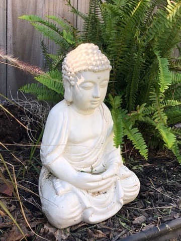 Is it time for a “dry” back half of January?