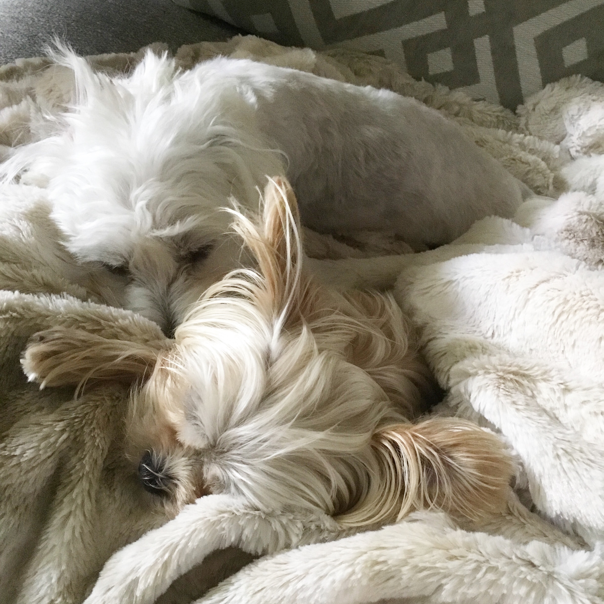 3 Affirmations For The Week Ahead