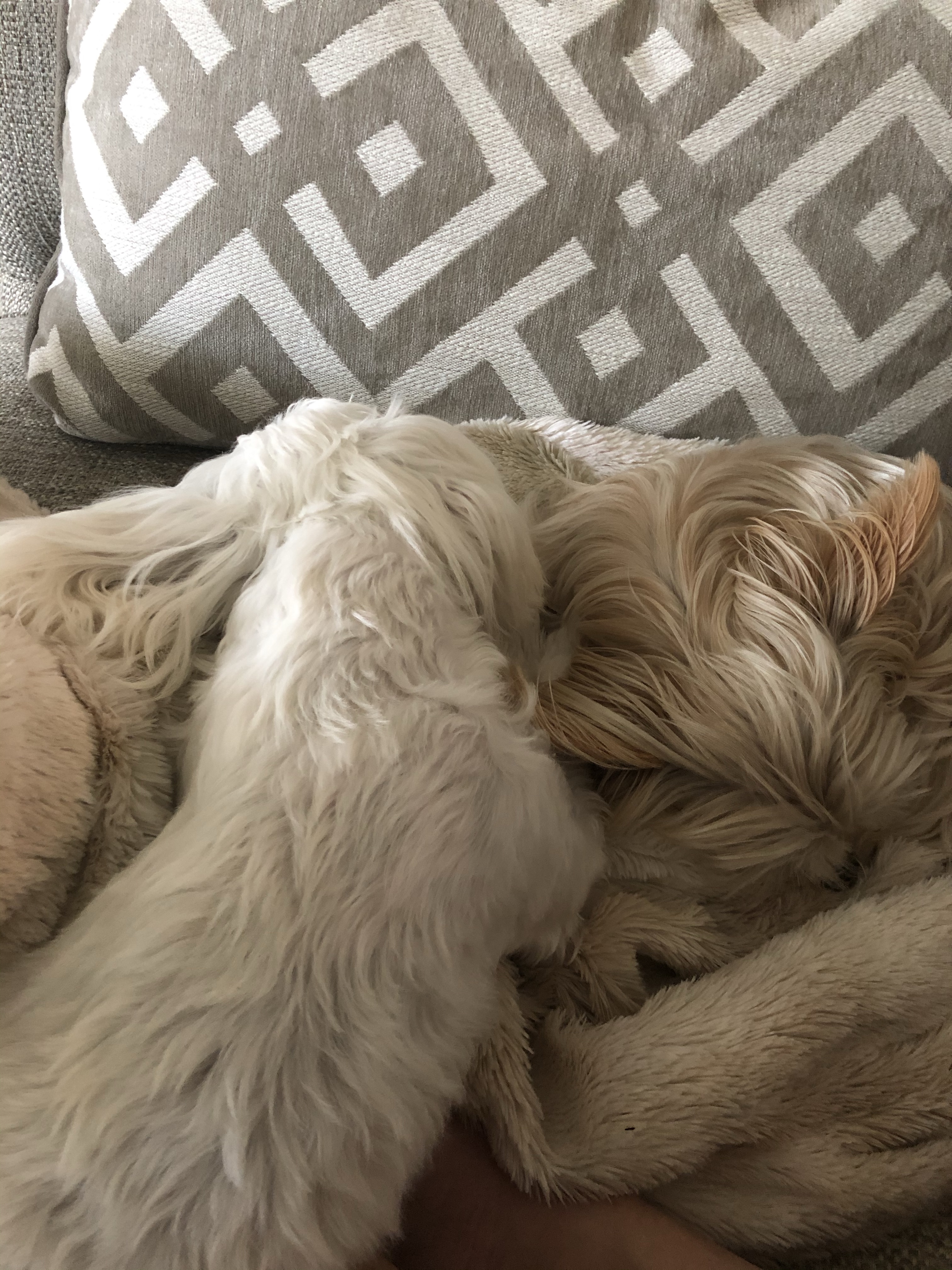 Strange Days Demand Delicious Comfort