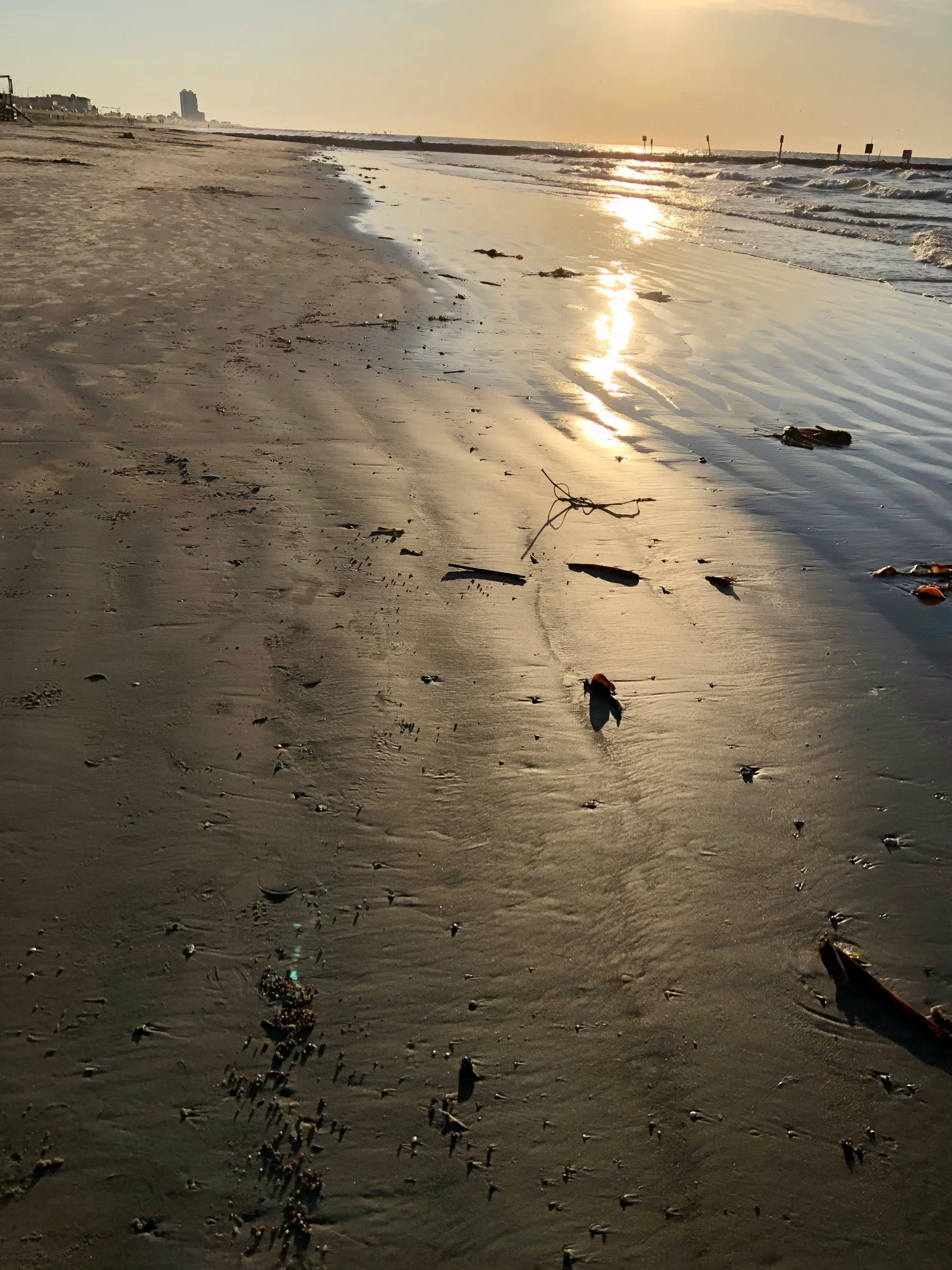 We Survived The Week – Barely