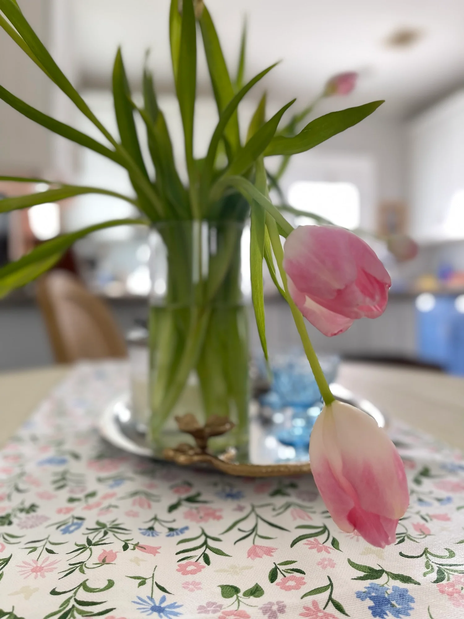 Day 20 Speaking Our Truth in the Season of Renewal